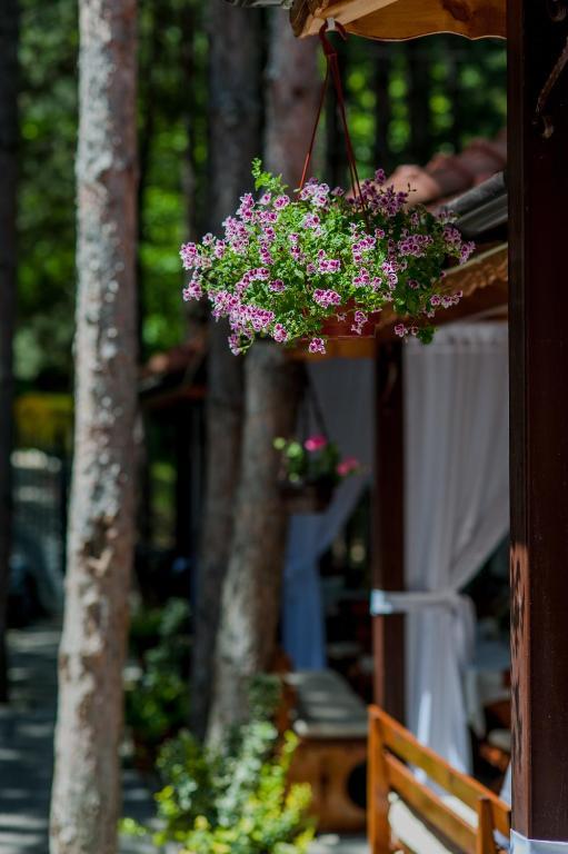 Hotel Park Bachinovo Blagoevgrad Exterior foto